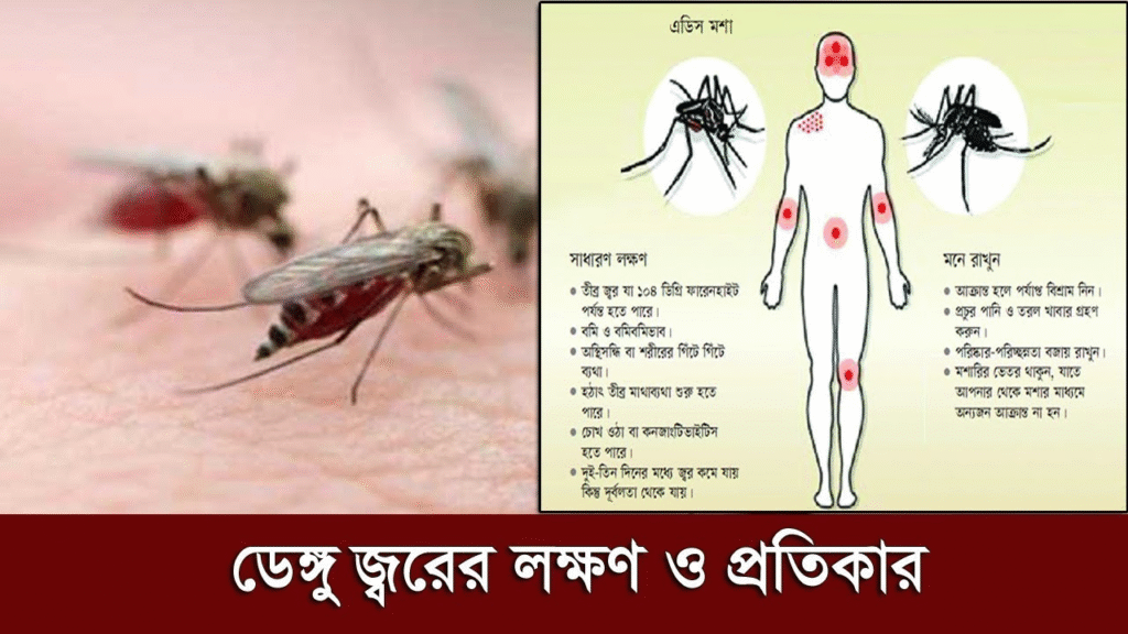 ডেঙ্গু জ্বর: কারণ, লক্ষণ ও করণীয় (Dengue Fever: Causes, Symptoms and What to Do) 2 image 5