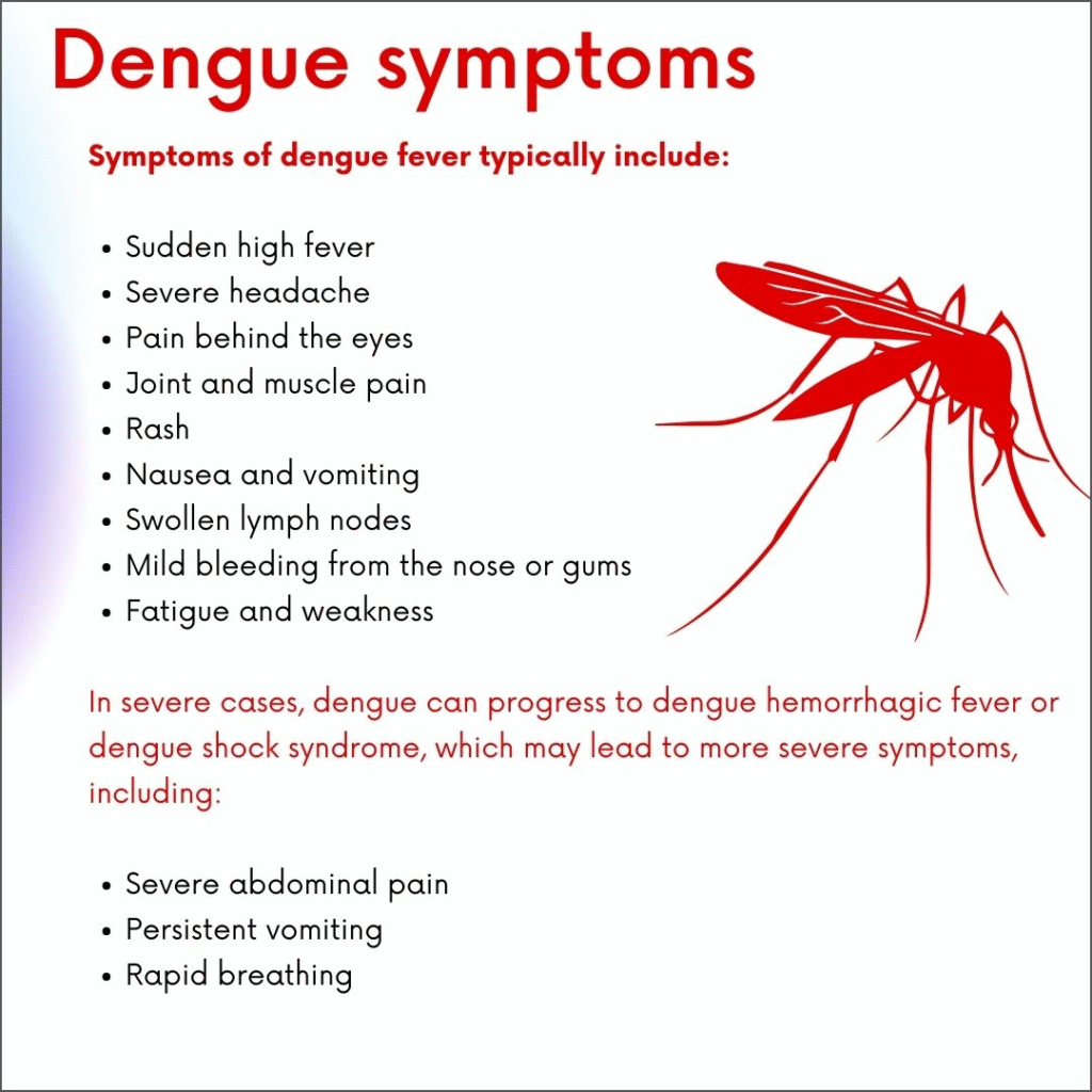 ডেঙ্গু জ্বর: কারণ, লক্ষণ ও করণীয় (Dengue Fever: Causes, Symptoms and What to Do) 3 image 6